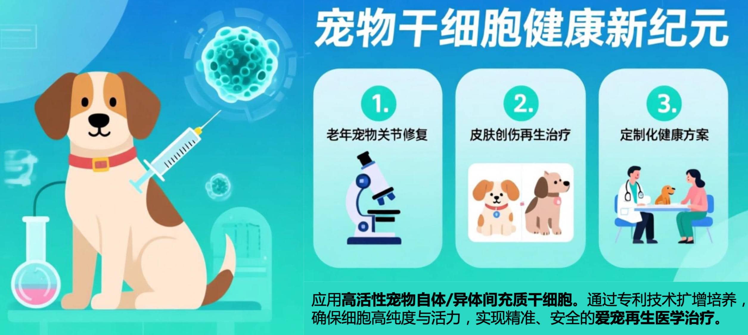 宠物产品（全新赛道）